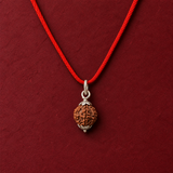 7 Mukhi Nepali Rudraksha