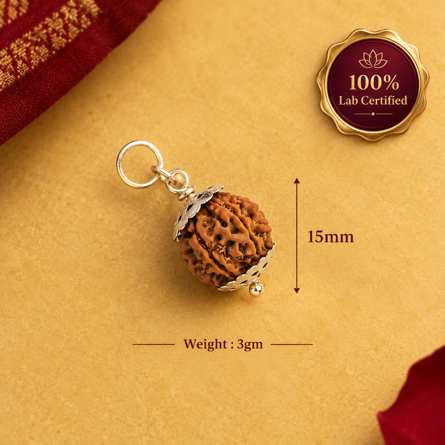 7 Mukhi Nepali Rudraksha