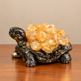 Dhan Labh Tortoise – Citrine on Pyrite